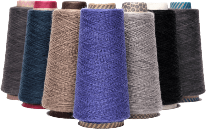 Công ty TNHH Công ty TNHH Công ty TNHH Công ty TNHH HAINEND.